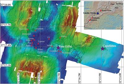 Spatial comparison and temporal evolution of two marine iron-rich microbial mats from the Lucky Strike Hydrothermal Field, related to environmental variations